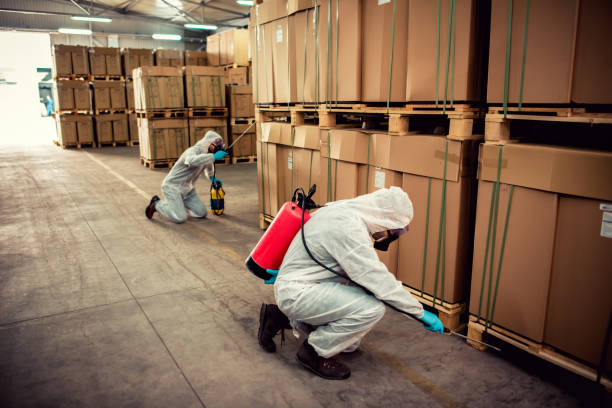 Best Best Pest Control Companies  in Edgewater, CO
