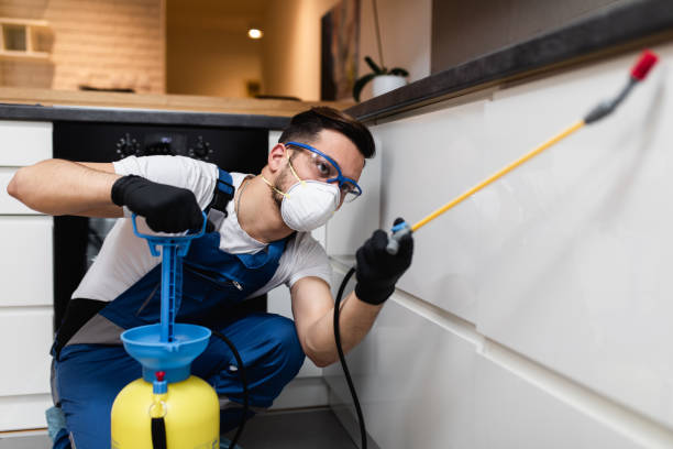 Best Flea Control Services  in Edgewater, CO
