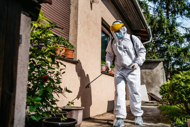 Best Exterminator Services  in Edgewater, CO