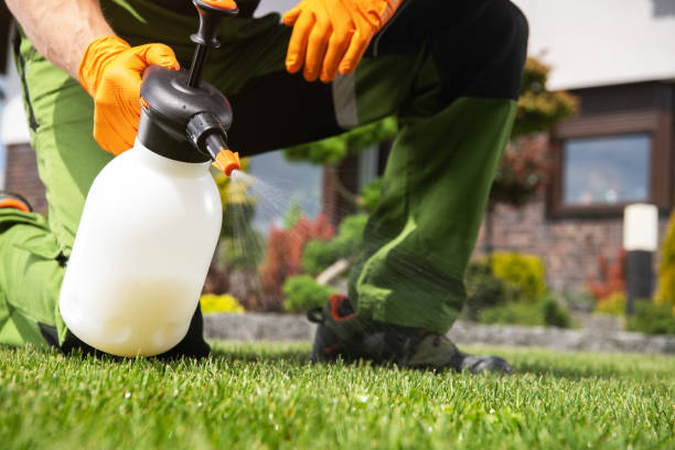 Best Wildlife Control Services  in Edgewater, CO