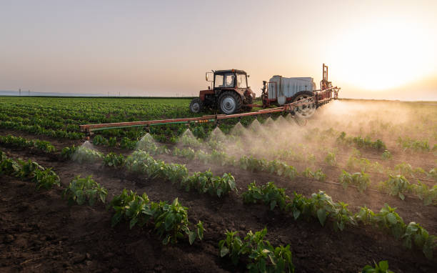 Best Mosquito Control Services  in Edgewater, CO