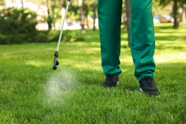Best Pest Prevention Services  in Edgewater, CO