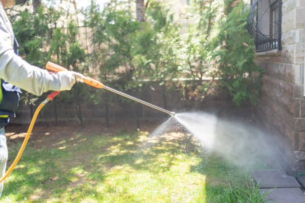 Pest Control for Restaurants in Edgewater, CO