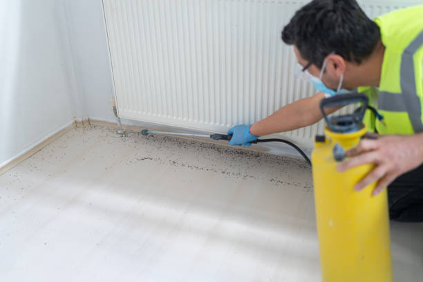 Best Affordable Pest Control Services  in Edgewater, CO