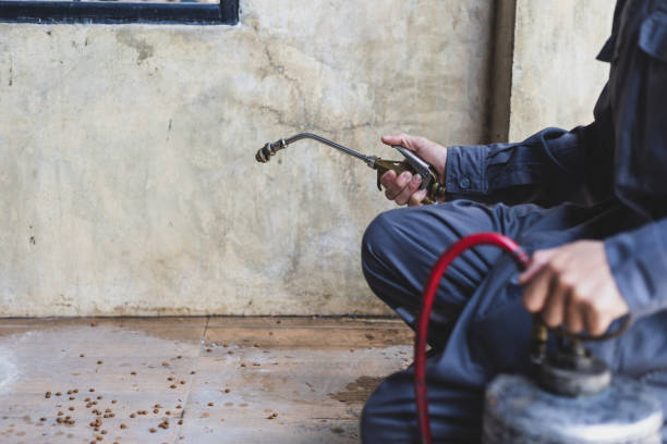 Best Exterminator Services  in Edgewater, CO